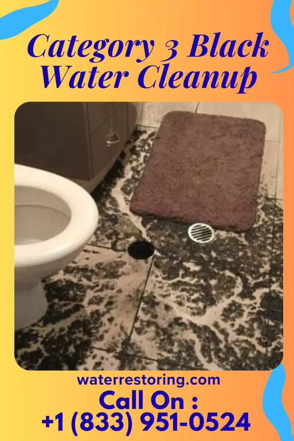 Category 3 Black Water Cleanup in Amherst, NE